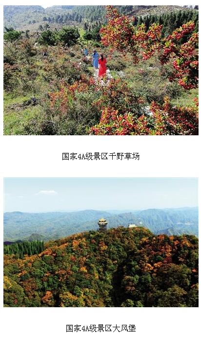 1480754137136987.jpg 2.jpg