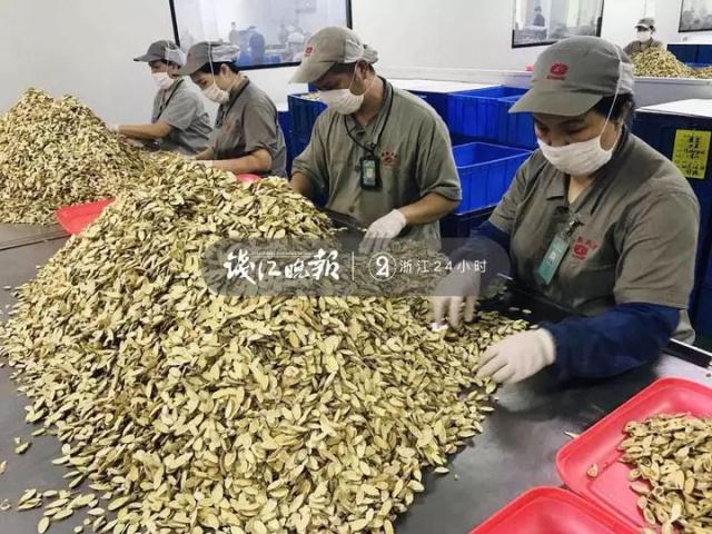 1562475125839048.jpeg 1562475125839048.jpeg