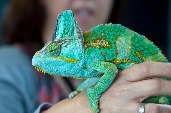 1582808464791657.jpg 14f93e7c-8e18-4f63-b992-3fac2e0b832a.jpg