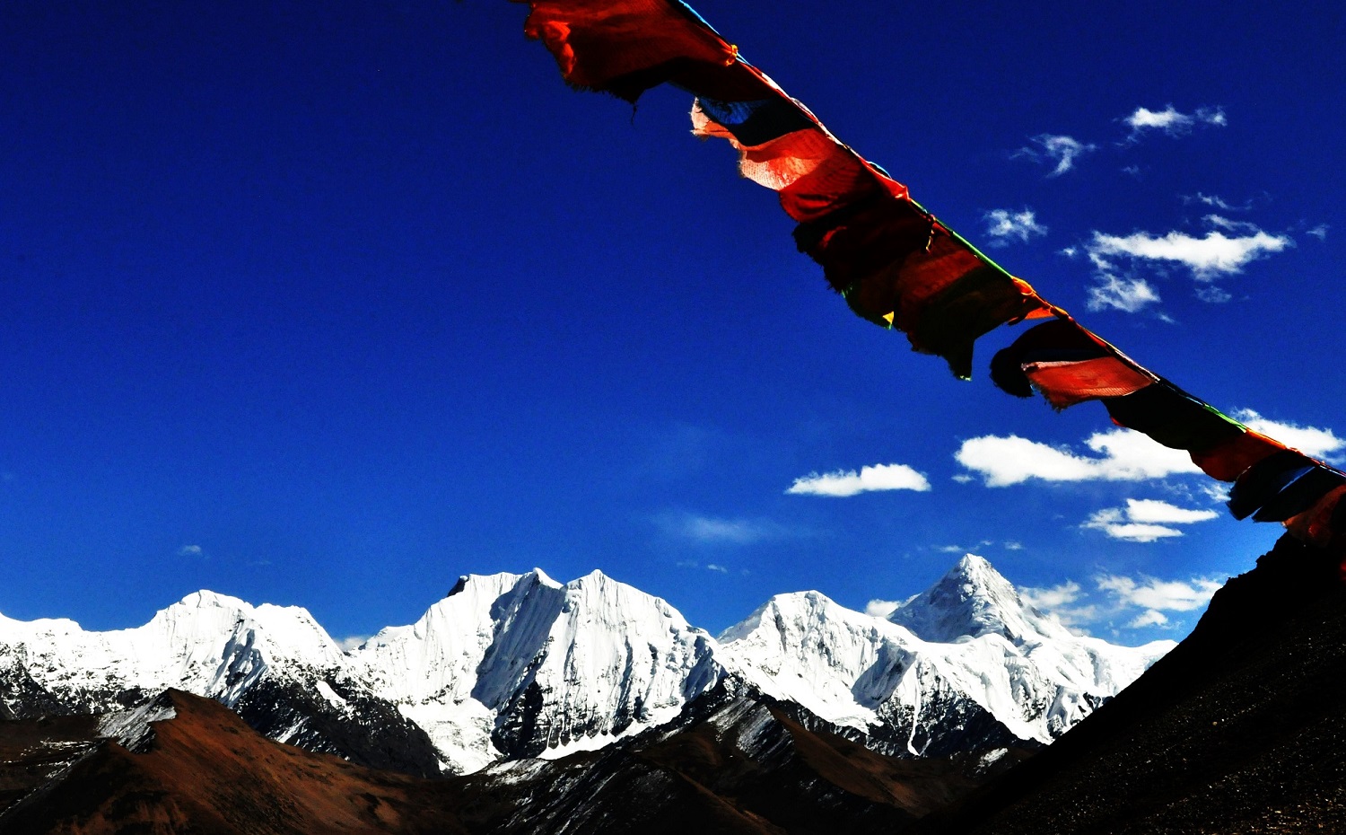 1608396274309443.jpg 1608396274309443.jpg