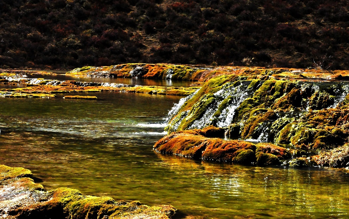 1608396451957466.jpg 1608396451957466.jpg