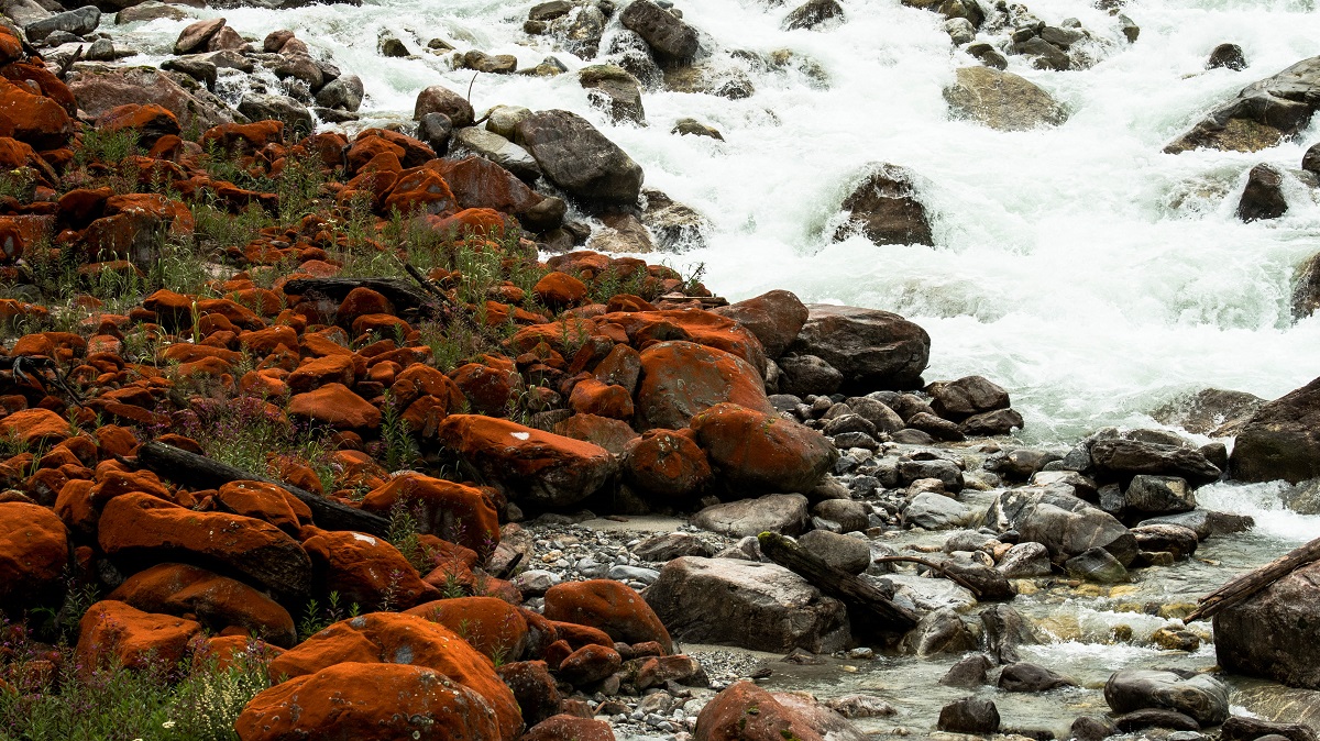 1608396492113244.jpg DSC_6840.jpg