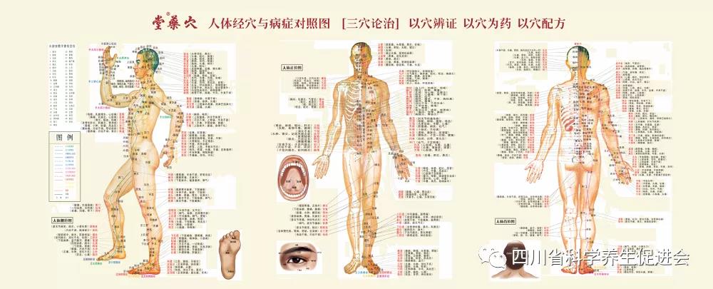 1622736642261285.jpg 3.jpg