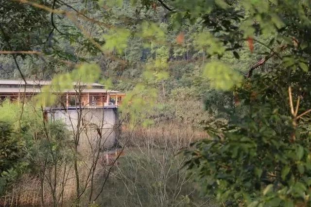 1628823649733414.jpg 微信图片_20210731215343.jpg