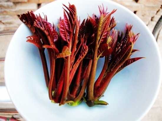 1493100522241193.jpg 1.jpg