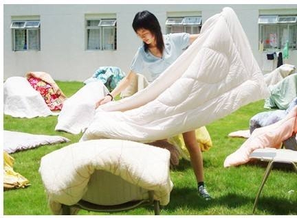 1493112069553001.jpg 9.jpg