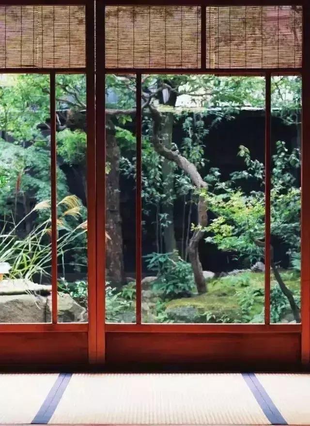 下载 (1).jpg