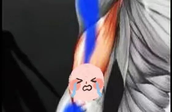 775.jpg