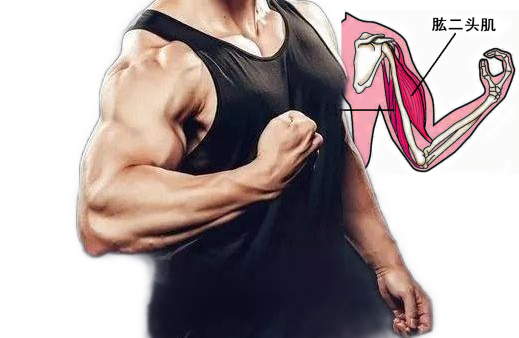 732.png