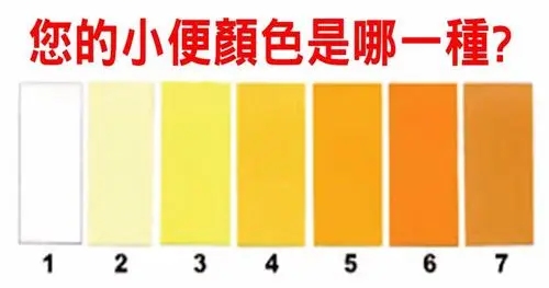 u=3660616457,2784932740&fm=253&fmt=auto&app=138&f=JPEG.webp.jpg