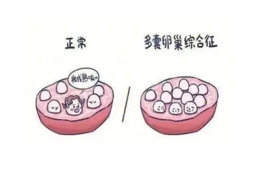 1719547544993971.png