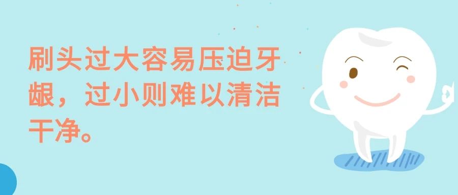 养生牙刷2.jpg